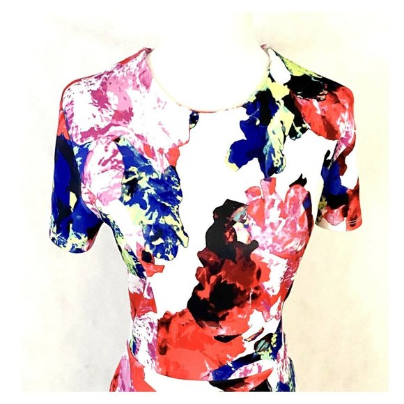 Milly Rosabella Floral Scuba Knit Short Sleeve Skater Dress Size 10 - Picture 3 of 8